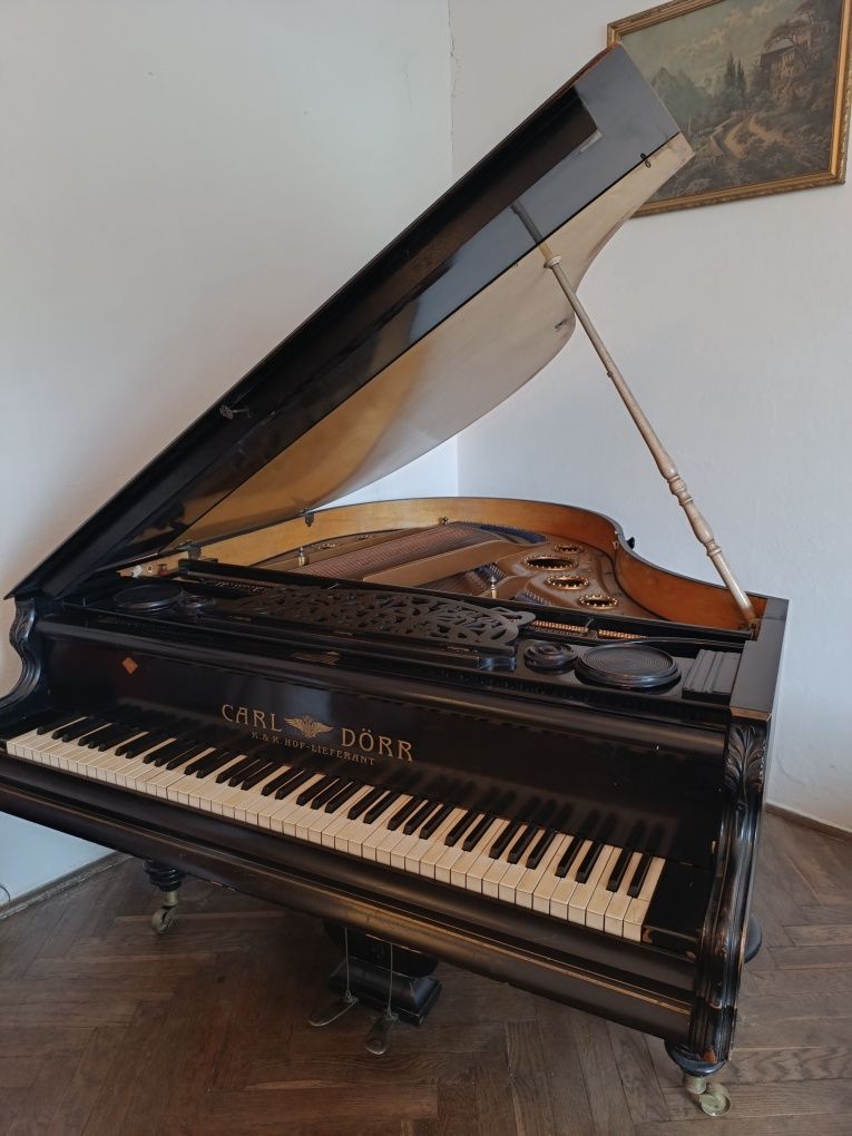 Fortepian Carl Dörr z 1905 roku