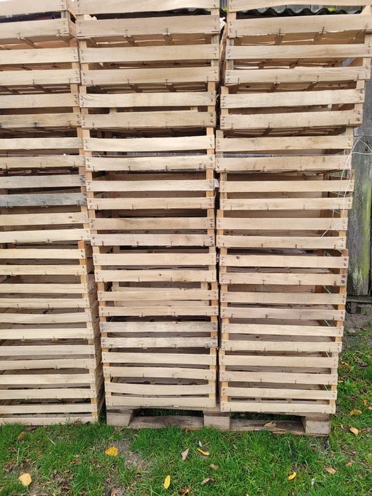 Łuszczki, skrzynki drewniane