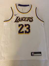 Nike NBA LA Lakers James 23