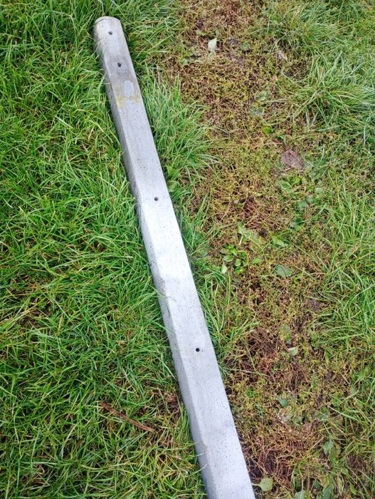 Słupki betonowe do malin 2,4 m „łódzkie”