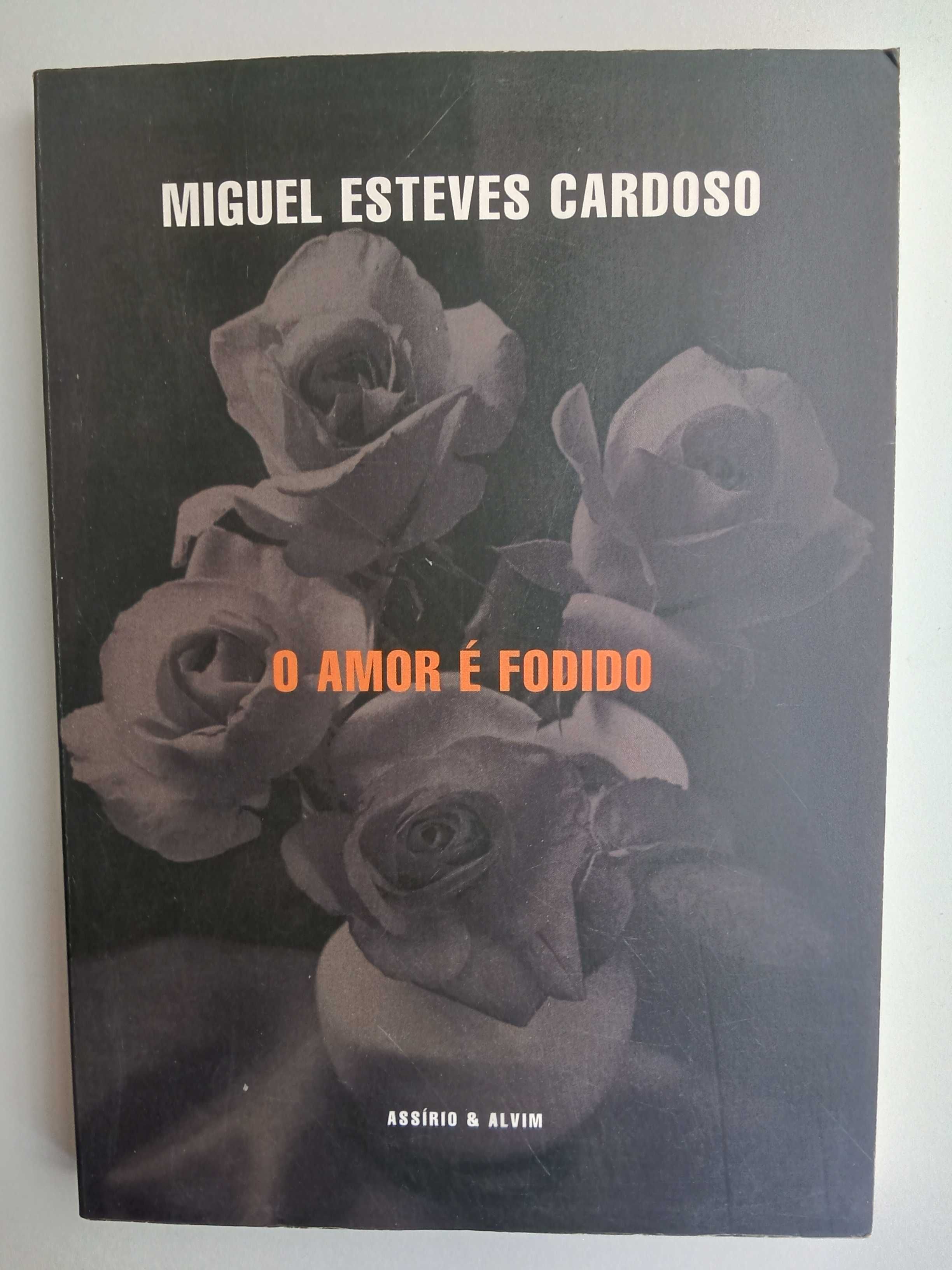 Miguel Esteves Cardoso - O amor é fodido