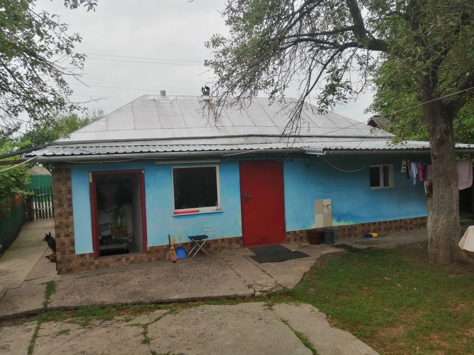 Продам Будинок с. Курячі Лози Кривоозерський район Миколаївська обл