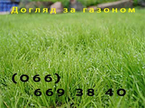 Садовник. Уход за садом. Садівник. Догляд за ділянкою