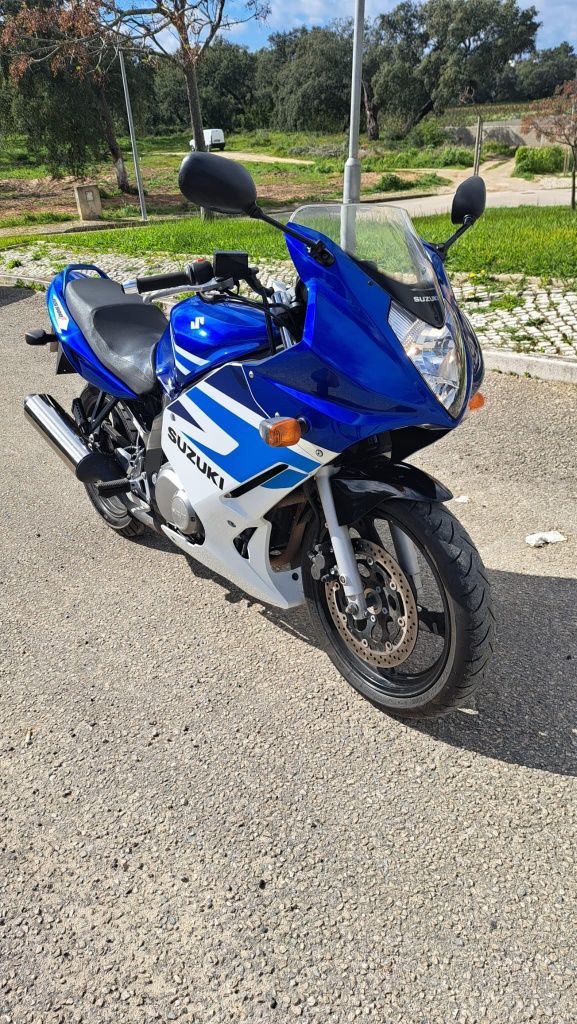 Suzuki gs500f 20011