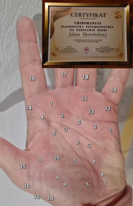 Certyfikowany Tarocista zaprasza - pytanie do Kart, Wahadełko, Rytuały