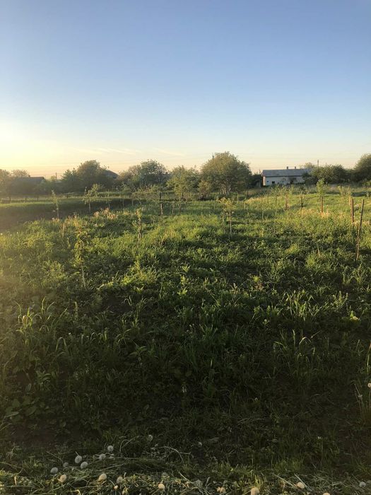 Будинок в селі з земельною ділянкою( с.Підгайчики Золочівський район)