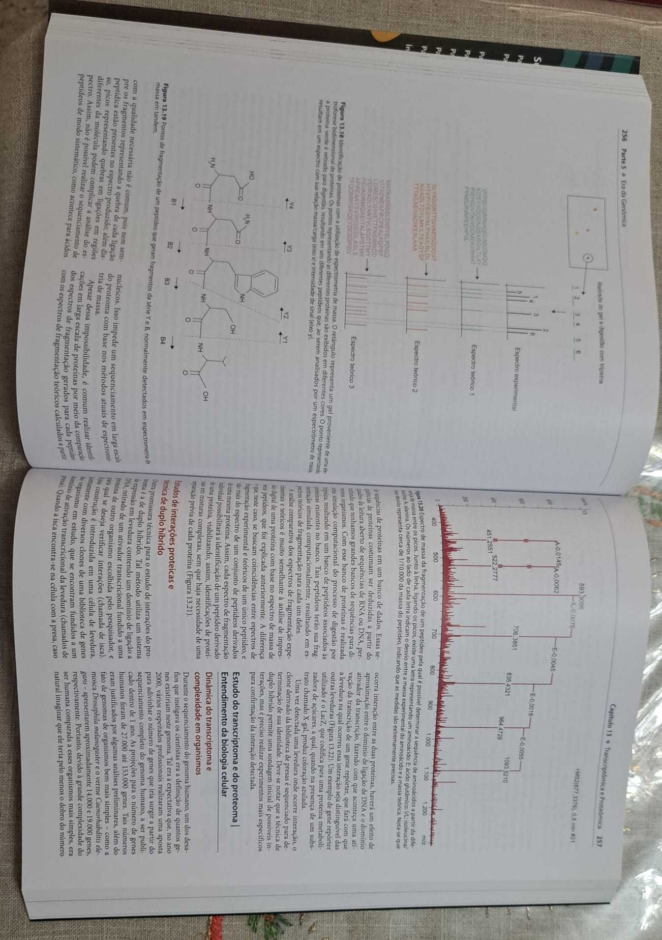 Genética Molecular Básica - NOVO