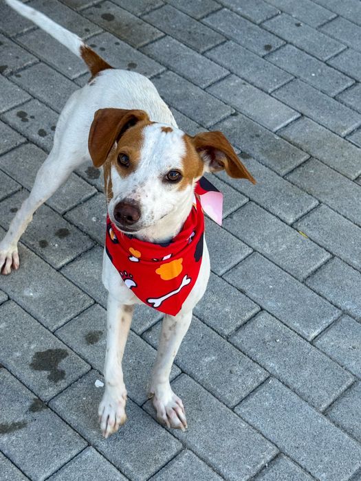 Otávio - 3 anos, 10kg