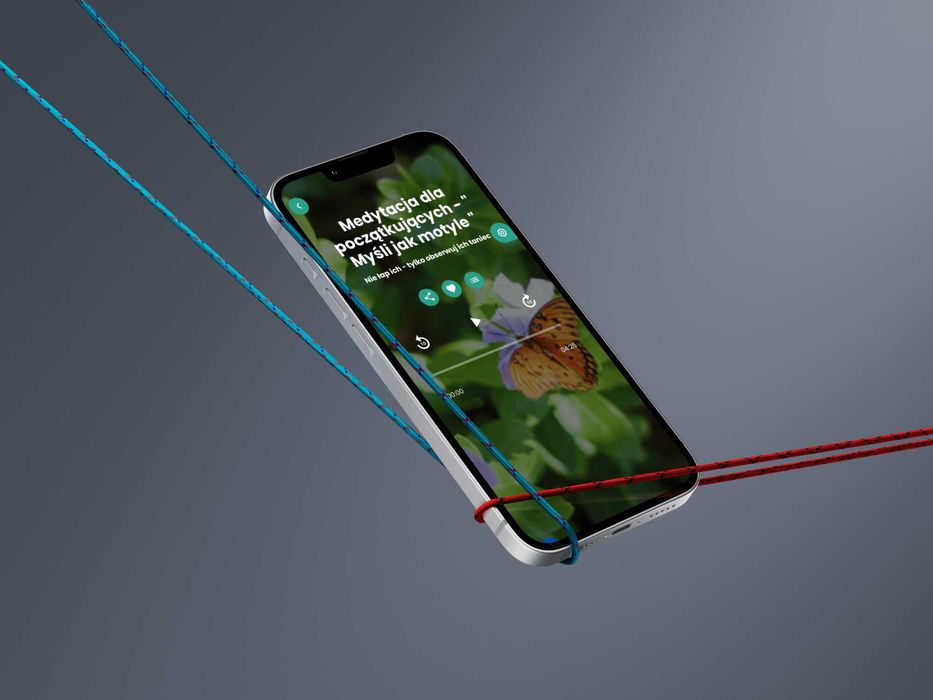 Strony internetowe | Aplikacje webowe | Grafika