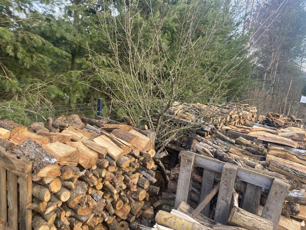 Jabłoń drewno kominkowe, jabłoń do wędzenia