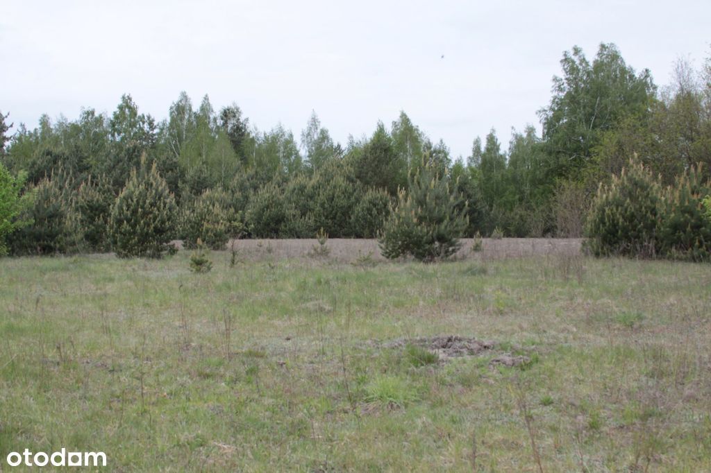 Działka, Gąski