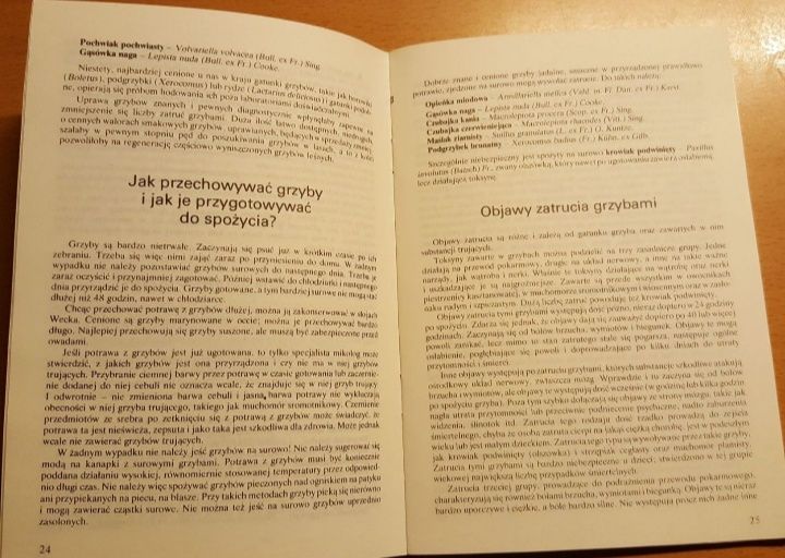 PORADNIK "Grzyb jadalny czy trujący" Zbigniew Domański, publikacja
