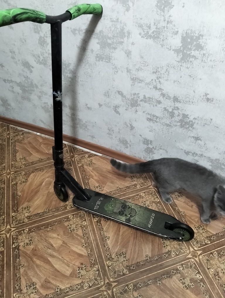 Продам самокат та скейт