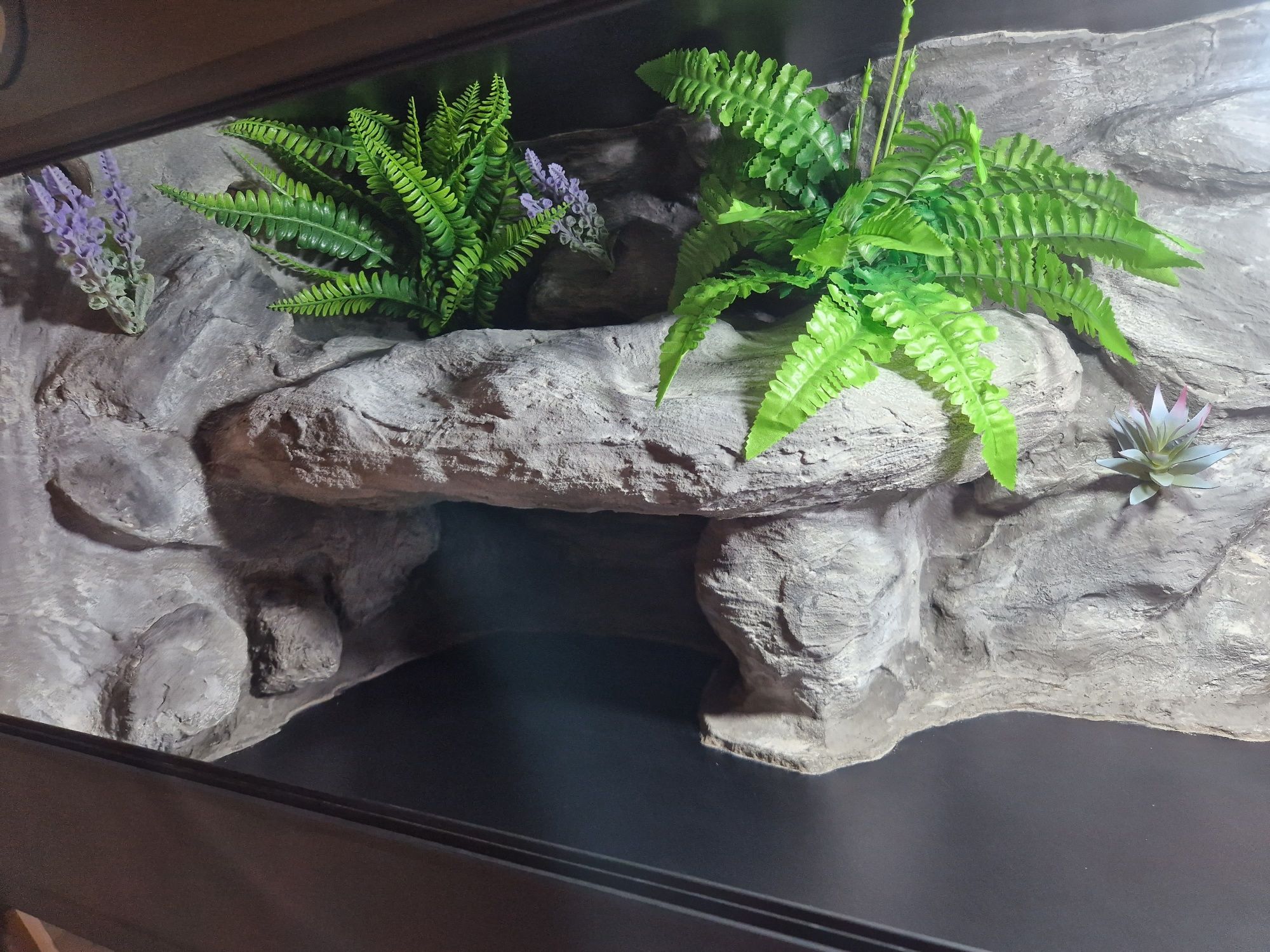 Terrarium na zamówienie dla żółwia 100x40x40