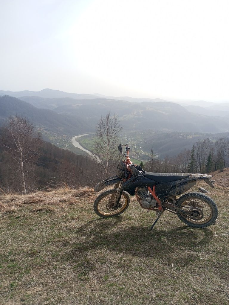 Profactori   250