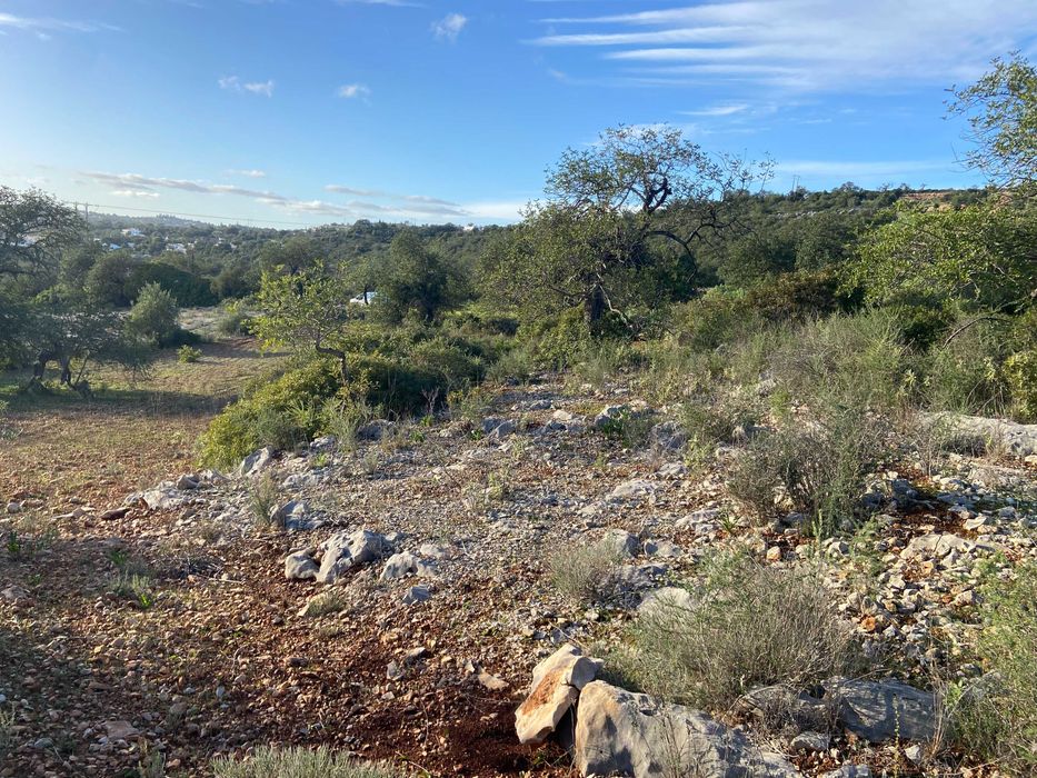 Terreno Vista Mar - Boliqueime