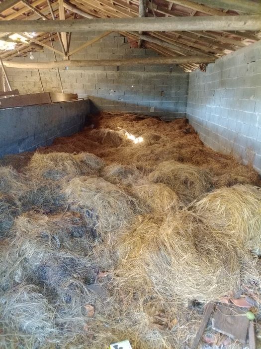 Palha agricultura
