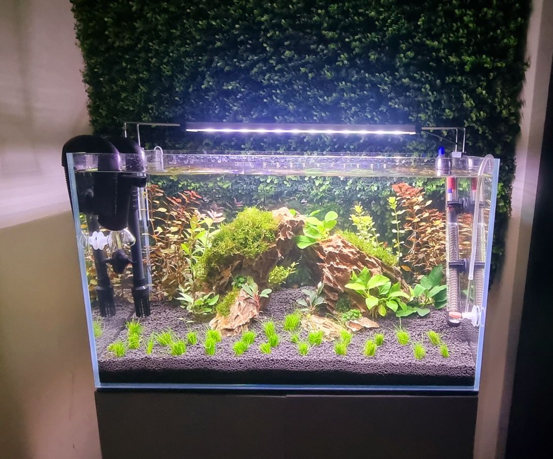 Aquario completo com movel