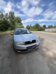 Skoda Fabia 2004 г