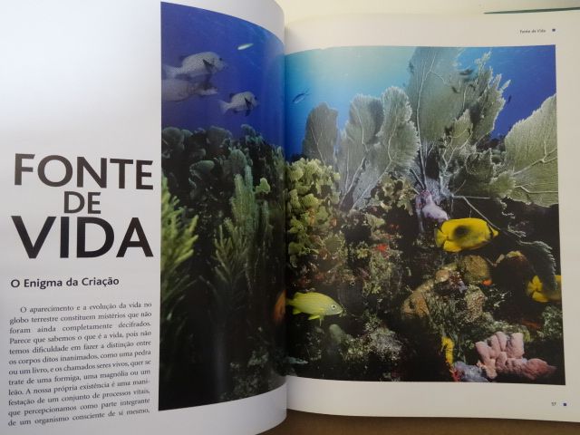 O Livro da Água de Luís Serrão