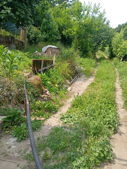 Moradia para restaurar com terreno envolvente