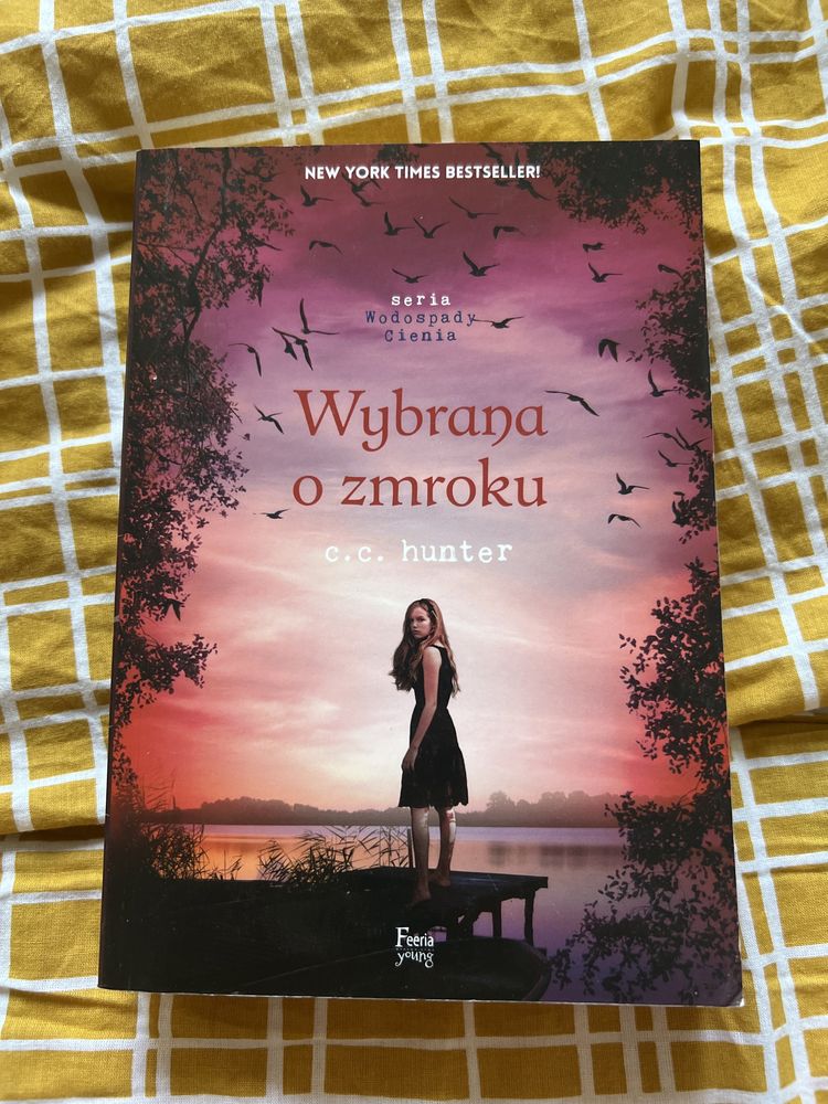 Książka Wybrana o zmroku seria Wodospady Cienia