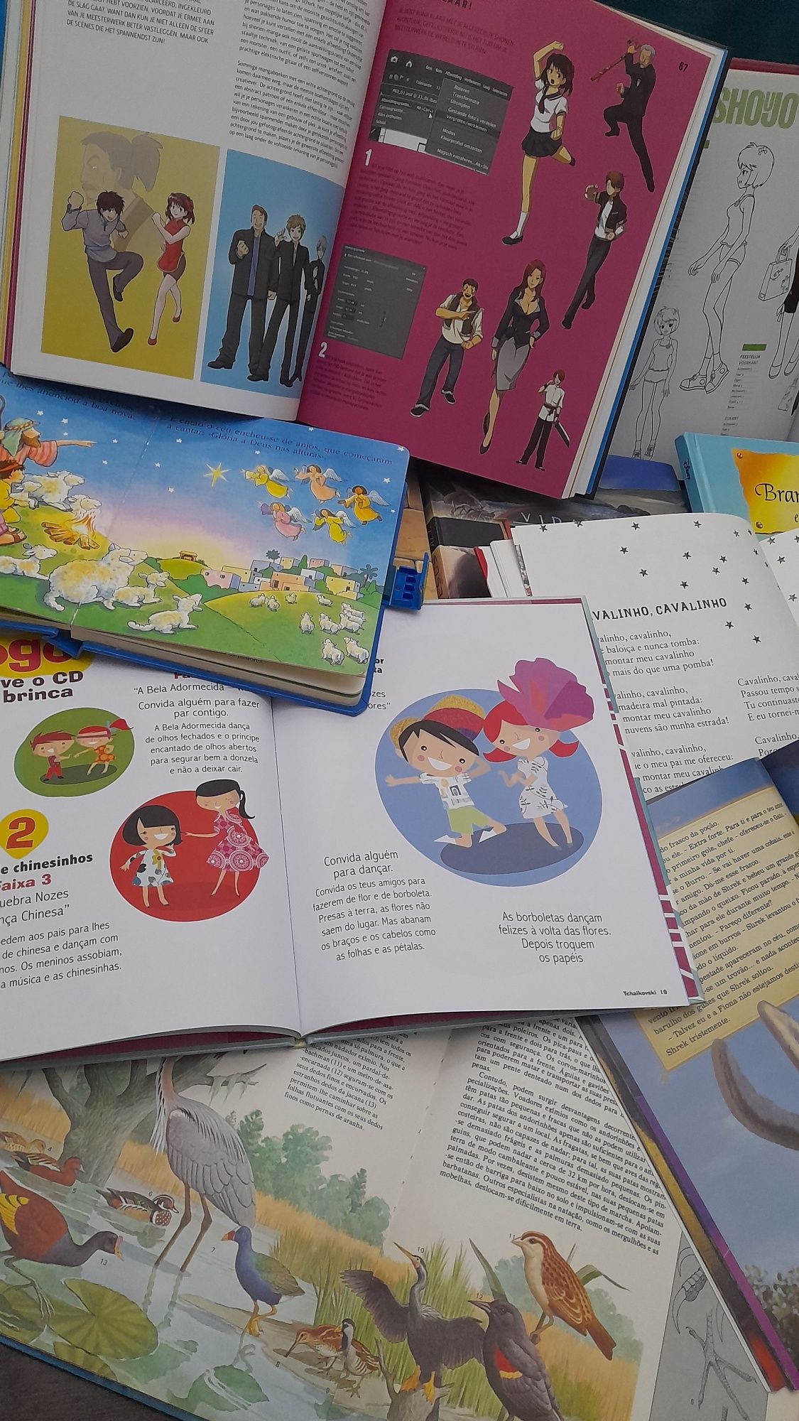 Lote 16 Livros infantis e juvenis