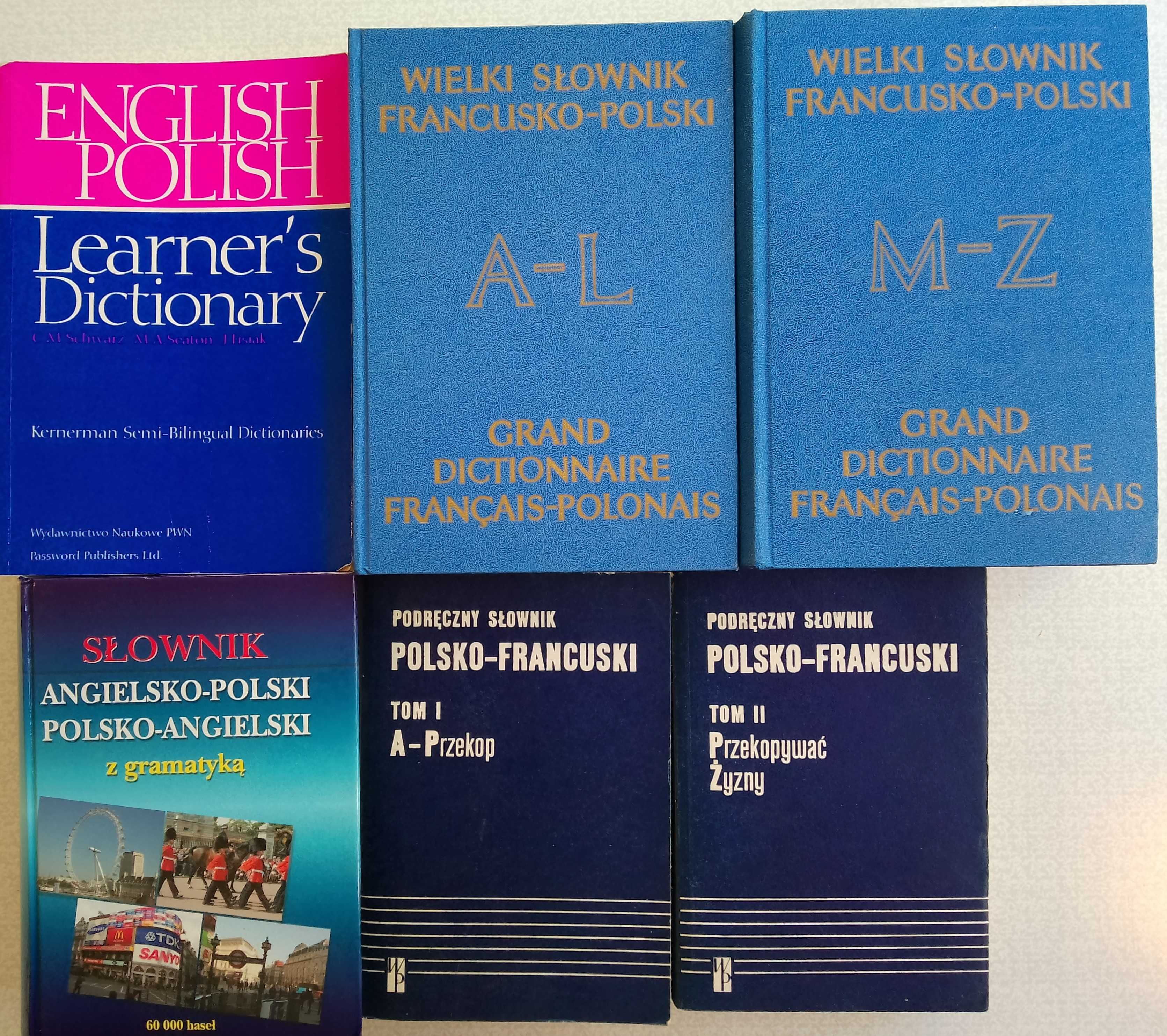 Słowniki angielskie francuskie niemieckie hiszpańskie portugalskie 30t