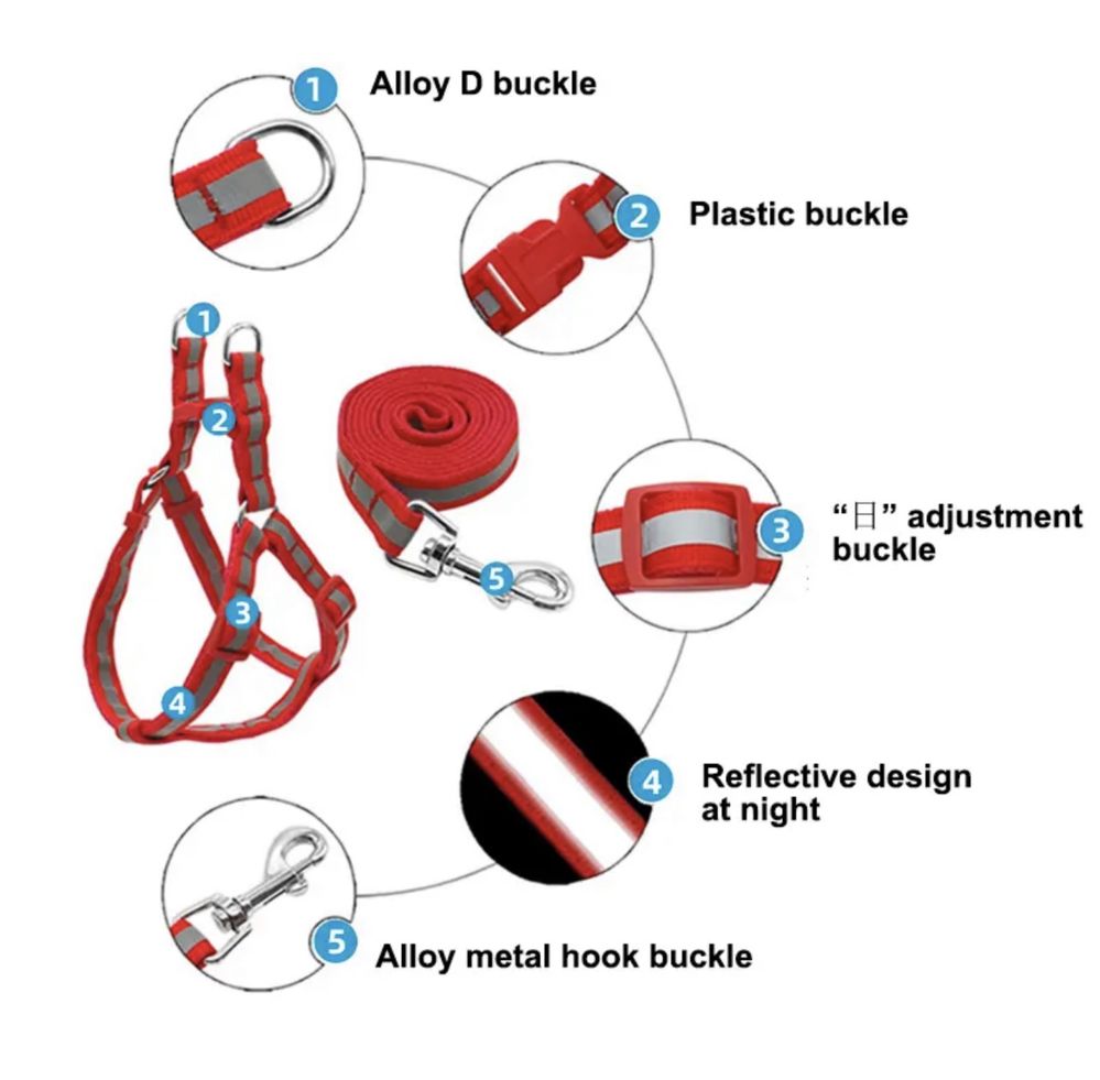 Шлейка и поводок светоотражающая и сапожки для мелких пород