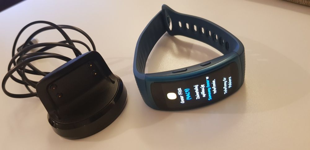 Smartwatch Samsung Gear Fit 2