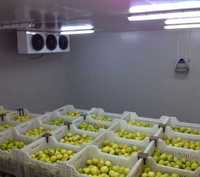 Камера холодильна для яблук, груш охолодження зберігання Київ Бровари