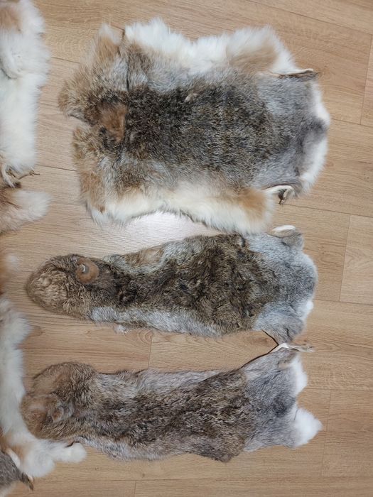 Шкури / шкурки / хутро / мєх заєць / зайця / мех зайца / шкуры / шкур