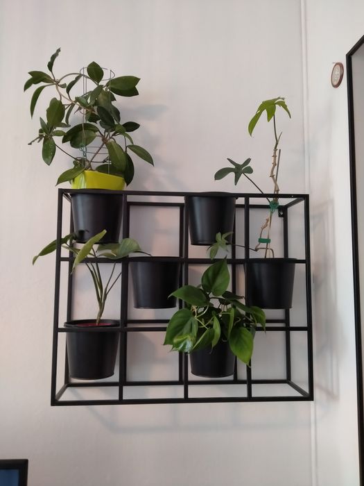 Kwietnik  na ścianę wiszący metalowy 6 osłonek na doniczki  64x52x18 c