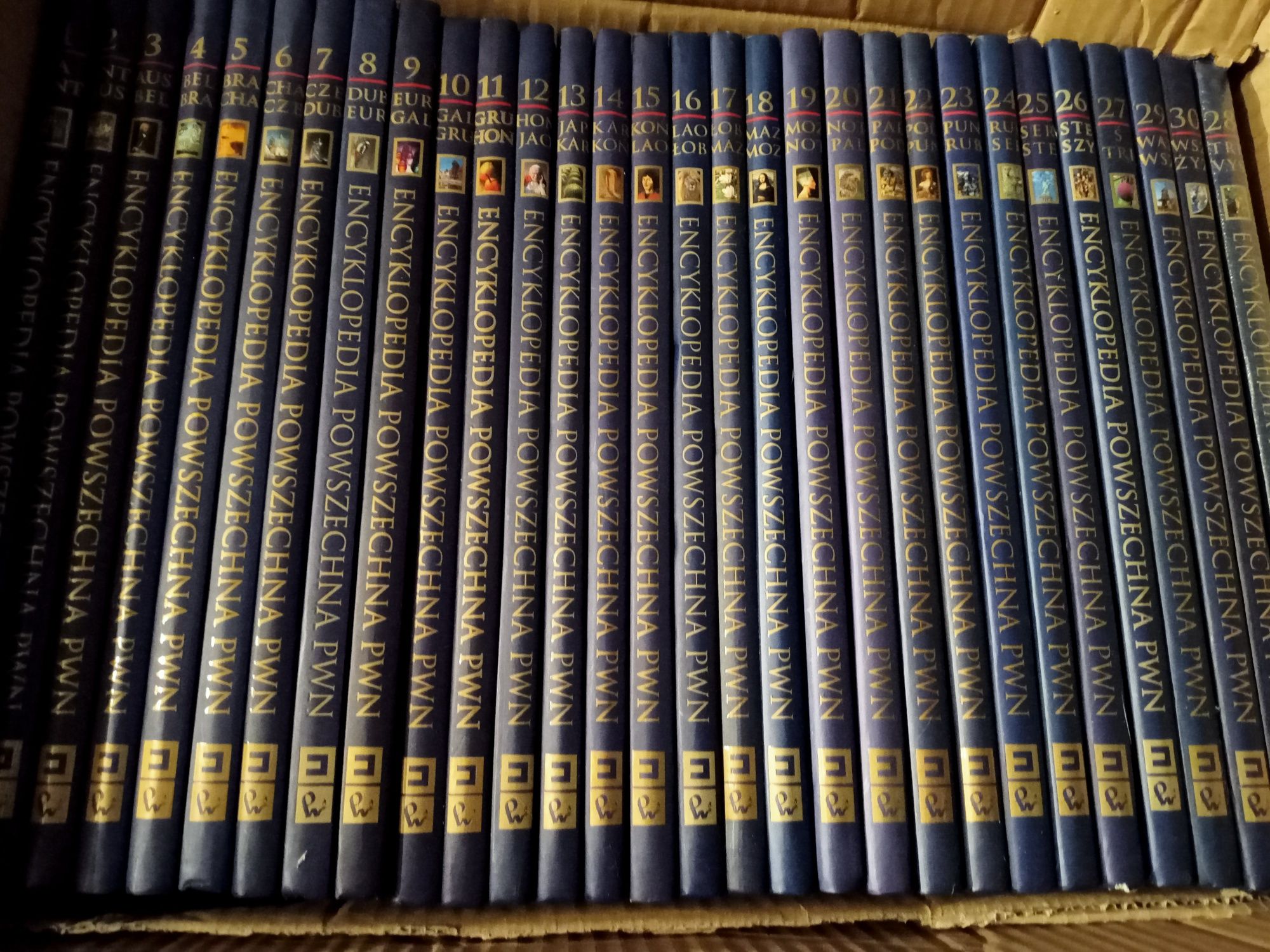 Encyklopedia PWN