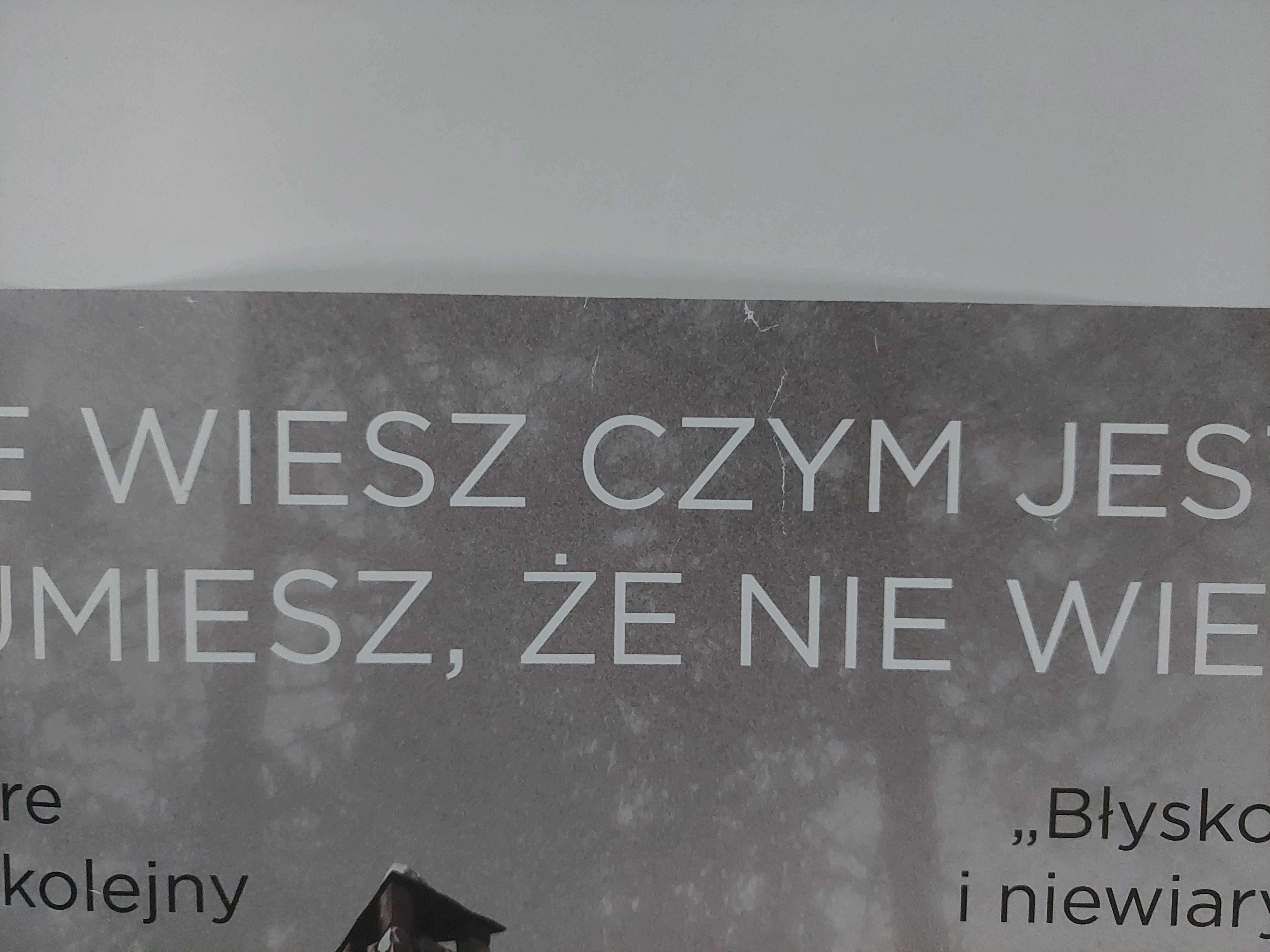 Plakat filmowy oryginalny - Dom w głębi lasu