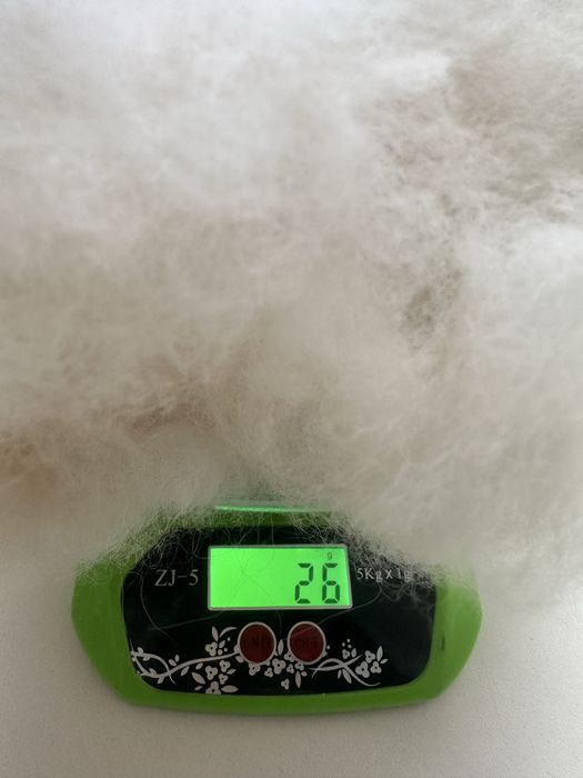 Пух подшорсток померанского шпица