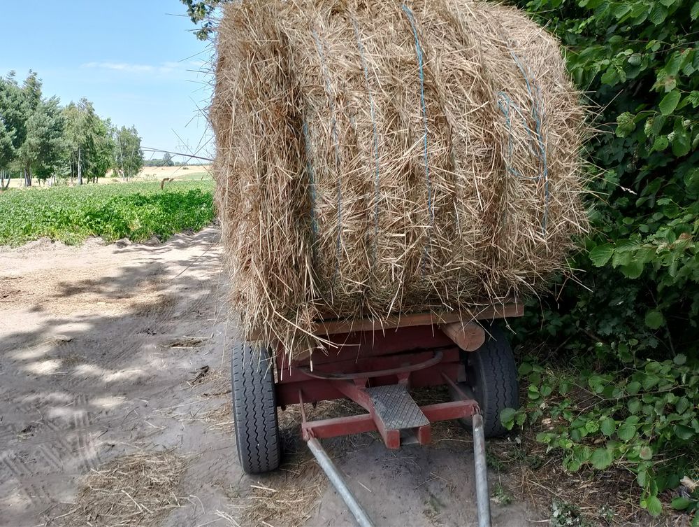 Sprzedam Bale siana