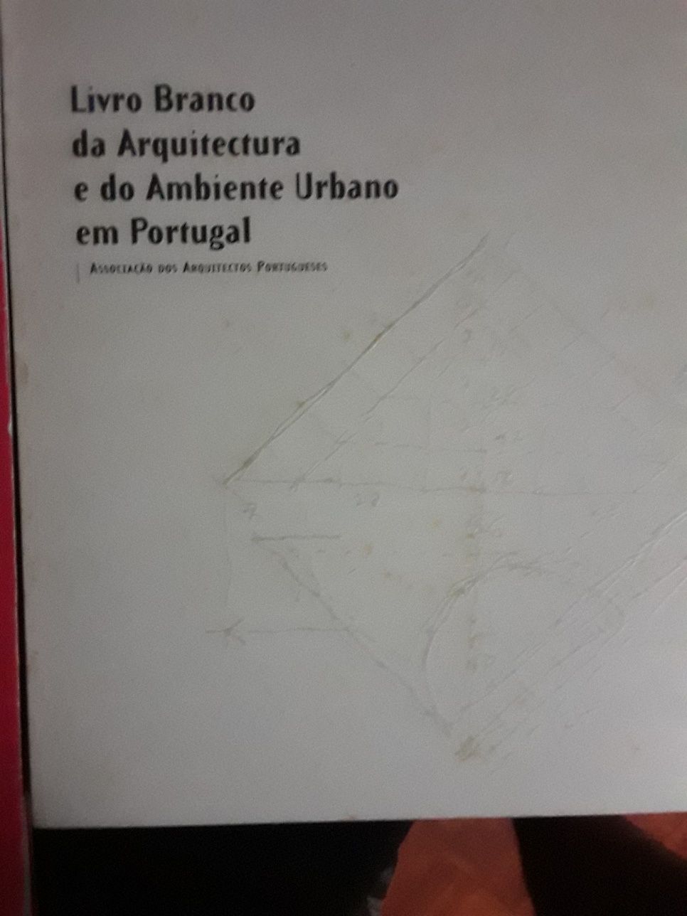 Espaco Publico e a Interdisciplinaridade/Livro Branco da Arquitectura
