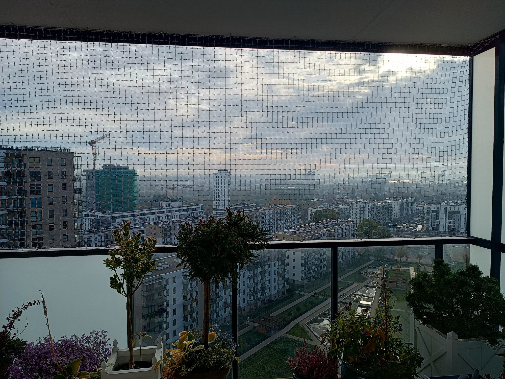Siatka na balkon, siatka dla kota, siatka przeciw gołębiom