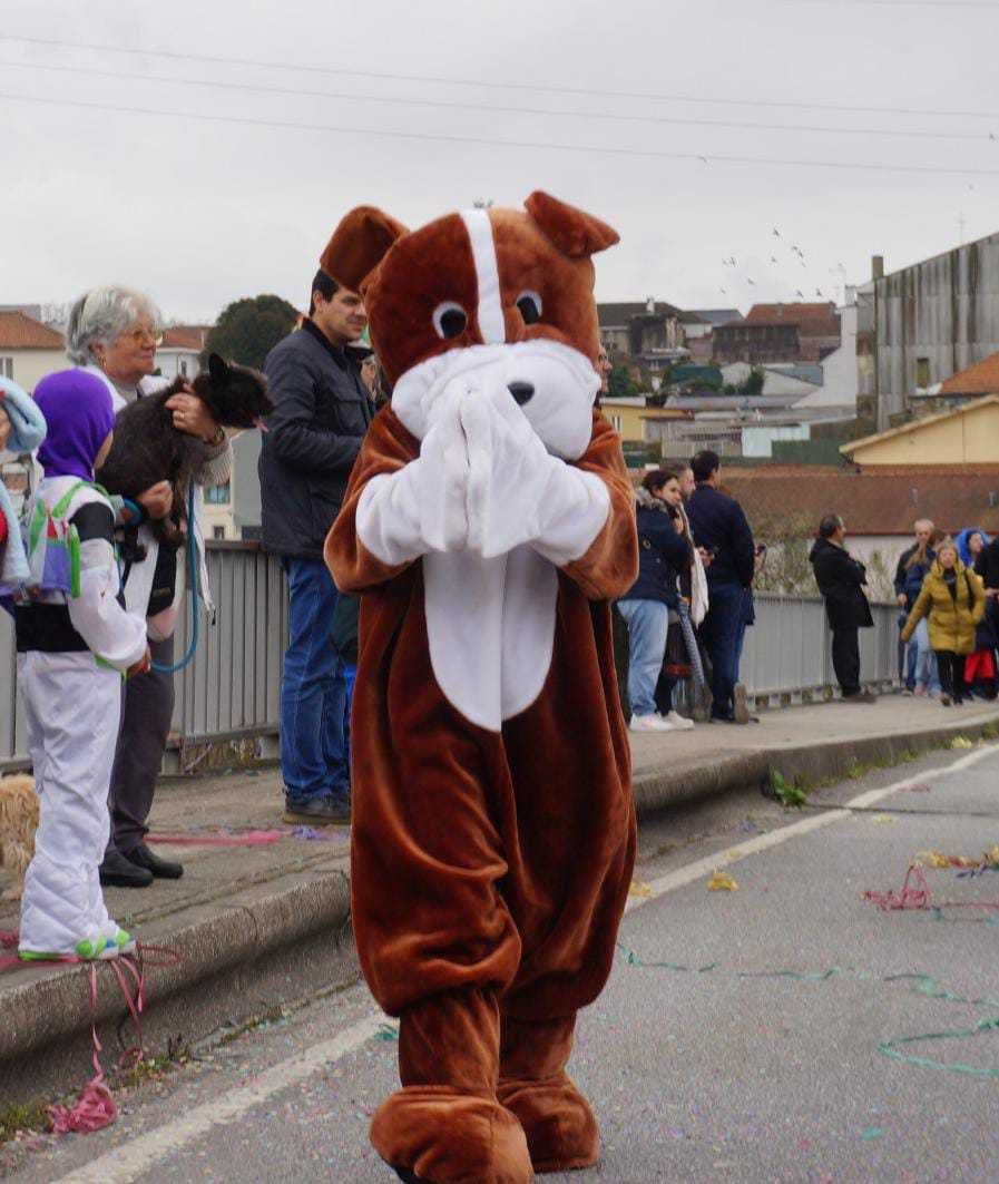 Panda e Mickey - Mascote do Panda e do mickey - ALUGO