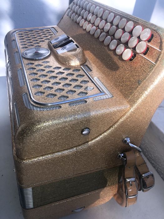 Acordeão Piermaria com registos à 2 voz + mala e correias