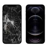 12 pro max iphone