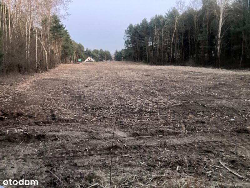 Atrakcyjne działki budowlane Staszów - Radzików