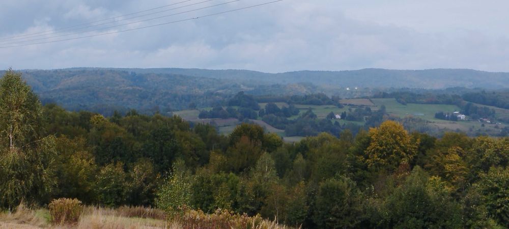 Sprzedam działkę widokową w Gogołowie