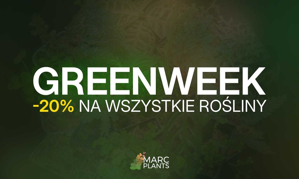 Rośliny do Terrarium Tropikalne Paludarium UNIKATY