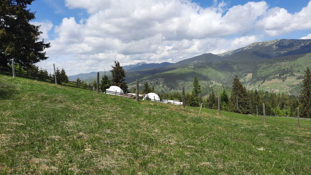 Земля 2 км від Паляниці. 13 соток з видом на Хом'як та Синяк