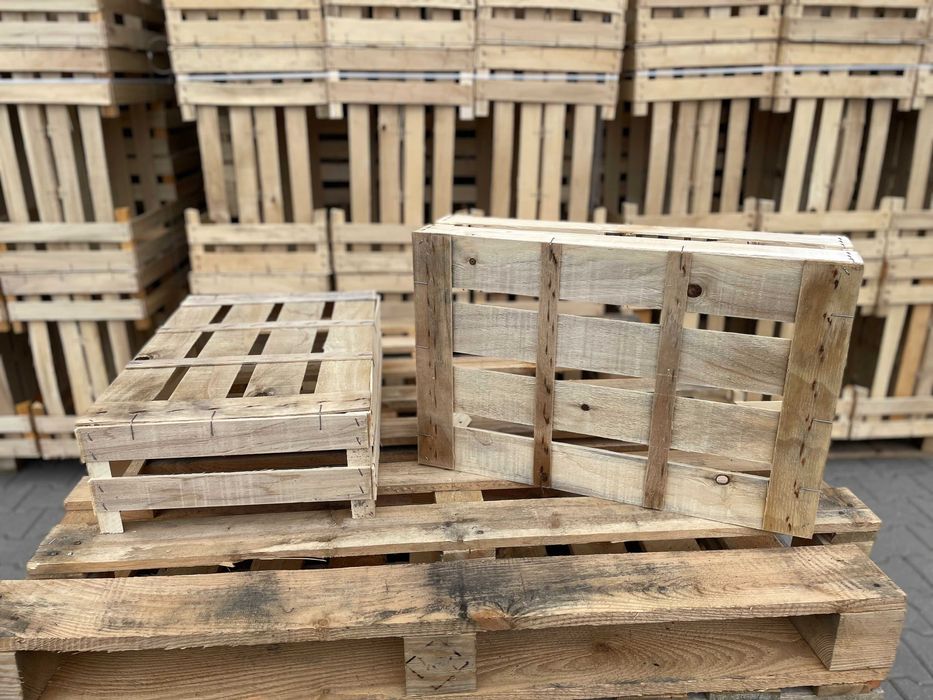 skrzynka, łuszczka-łuszczki na por, kalafior, sałata, rzodkiewka,