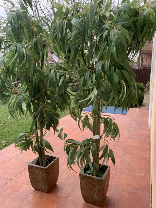 Пальма штучна Elisey