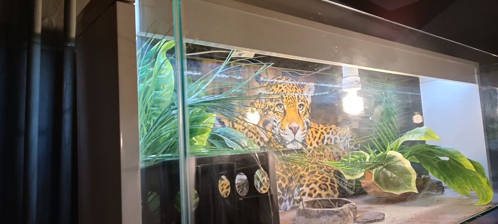 Terrarium wyposażone z oświetleniem.