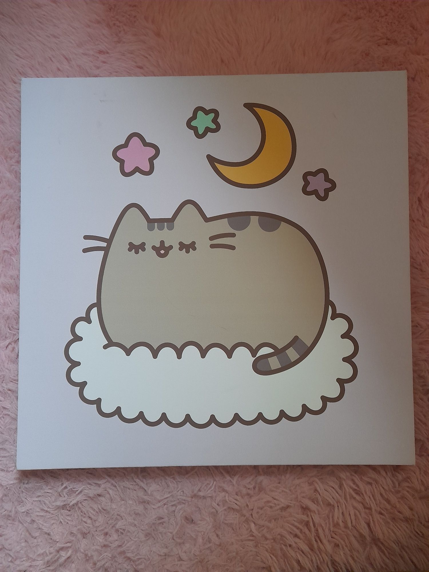 Obrazy Pusheen na płótnie